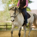 Reitkurs mit Richard Hinrichs