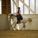 Reitkurs mit Richard Hinrichs