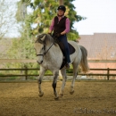 Reitkurs mit Richard Hinrichs