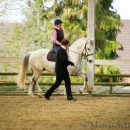 Reitkurs mit Richard Hinrichs