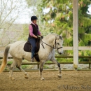 Reitkurs mit Richard Hinrichs