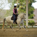 Reitkurs mit Richard Hinrichs