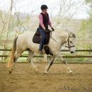 Reitkurs mit Richard Hinrichs