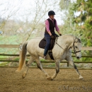 Reitkurs mit Richard Hinrichs