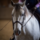 Klassische Dressur Reitkurs mit Ruth Giffels