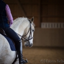 Klassische Dressur Reitkurs mit Ruth Giffels