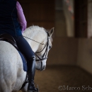 Klassische Dressur Reitkurs mit Ruth Giffels