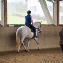 Klassische Dressur Reitkurs mit Ruth Giffels