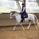 Klassische Dressur Reitkurs mit Ruth Giffels