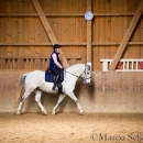Klassische Dressur Reitkurs mit Ruth Giffels
