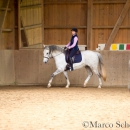 Klassische Dressur Reitkurs mit Ruth Giffels