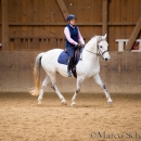 Klassische Dressur Reitkurs mit Ruth Giffels
