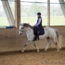 Klassische Dressur Reitkurs mit Ruth Giffels