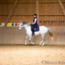 Klassische Dressur Reitkurs mit Ruth Giffels