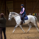 Klassische Dressur Reitkurs mit Ruth Giffels