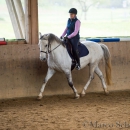 Klassische Dressur Reitkurs mit Ruth Giffels
