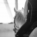 Klassische Dressur Reitkurs mit Ruth Giffels