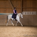 Klassische Dressur Reitkurs mit Ruth Giffels
