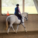 Klassische Dressur Reitkurs mit Ruth Giffels