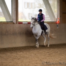 Klassische Dressur Reitkurs mit Ruth Giffels