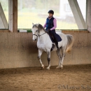 Klassische Dressur Reitkurs mit Ruth Giffels