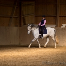 Klassische Dressur Reitkurs mit Ruth Giffels