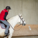 Desmond O'Brien - Reitkurs 2016