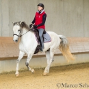 Desmond O'Brien - Reitkurs 2016