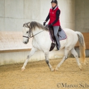 Desmond O'Brien - Reitkurs 2016