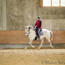 Desmond O'Brien - Reitkurs 2016