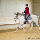 Desmond O'Brien - Reitkurs 2016
