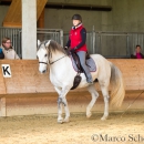 Desmond O'Brien - Reitkurs 2016