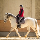 Desmond O'Brien - Reitkurs 2016