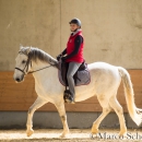 Desmond O'Brien - Reitkurs 2016