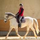Desmond O'Brien - Reitkurs 2016