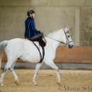 Desmond O'Brien - Reitkurs 2016