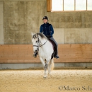 Desmond O'Brien - Reitkurs 2016