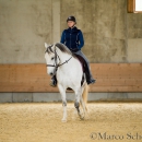 Desmond O'Brien - Reitkurs 2016