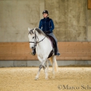 Desmond O'Brien - Reitkurs 2016
