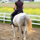 Desmond O'Brien Reitkurs Juni 2016