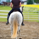Desmond O'Brien Reitkurs Juni 2016