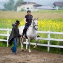 Desmond O'Brien Reitkurs Juni 2016