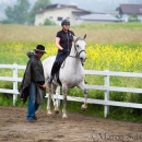 Desmond O'Brien Reitkurs Juni 2016