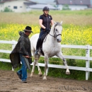 Desmond O'Brien Reitkurs Juni 2016