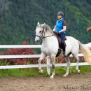 Desmond O'Brien Reitkurs Juni 2016