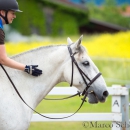 Desmond O'Brien Reitkurs Juni 2016