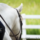 Desmond O'Brien Reitkurs Juni 2016