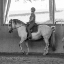 Ruth Giffels Reitkurs August 2016