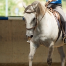Ruth Giffels Reitkurs August 2016