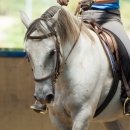 Ruth Giffels Reitkurs August 2016